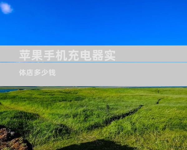 苹果手机充电器实体店多少钱