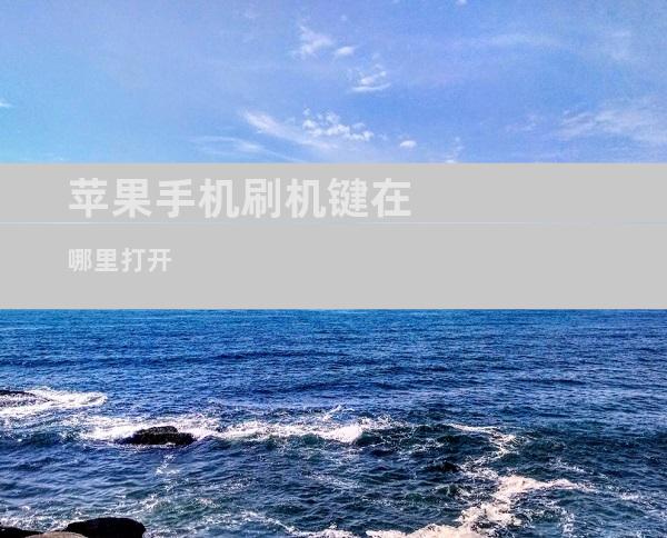 苹果手机刷机键在哪里打开
